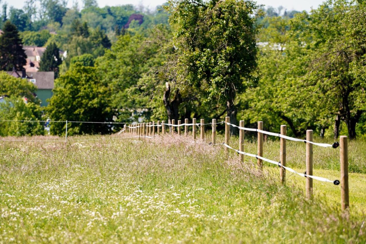 Fruehstueckspension Christinenhof Dreieich Zewnętrze zdjęcie